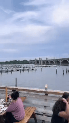 🦀Chesapeake Bay Maryland Blue Crab Roe Sauce-Lily